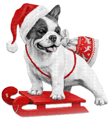soave animals dog christmas winter black white - безплатен png