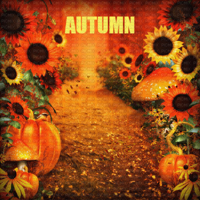 Kaz_Creations Autumn Backgrounds Background - zdarma png