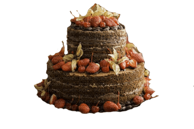 Gâteau - bezmaksas png