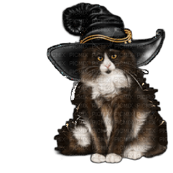Chat sorcière - darmowe png