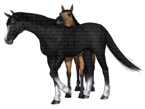 Kaz_Creations Horses - ücretsiz png