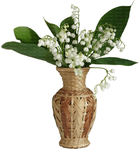 Muguet.Vase.Pot.Fleur.Victoriabea - PNG gratuit