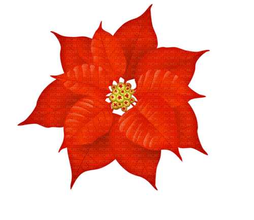 Poinsettia flower ❤️ elizamio - Free PNG