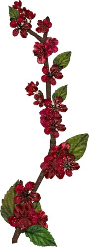 blomkvist------flower twig - PNG gratuit
