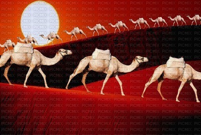 animals, the camels, decert, maisema, landscape, tausta, background - PNG gratuit