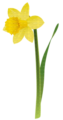 Flowers yellow bp - png ฟรี