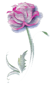 Rose mauve - png grátis