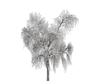 Деревья - Δωρεάν κινούμενο GIF