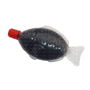 soy sauce fish - 無料png