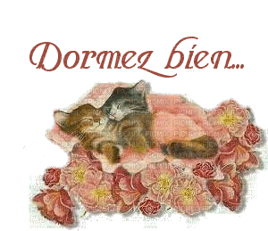 dormez bien - Бесплатный анимированный гифка