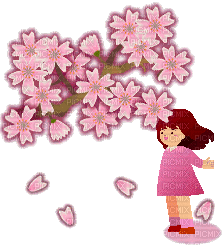 Falling cherry blossoms - Бесплатный анимированный гифка
