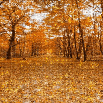 fall background - GIF animate gratis