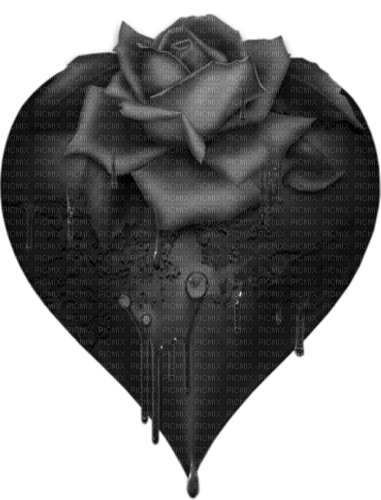 rose herz heart black - PNG gratuit