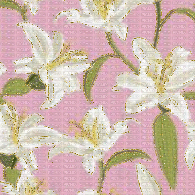 Lillies Background - GIF เคลื่อนไหวฟรี
