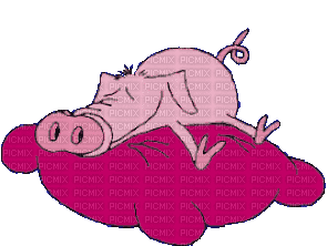 pig schwein porc farm animal tube animals animaux mignon gif anime animated animation fun pillow pink - GIF animasi gratis