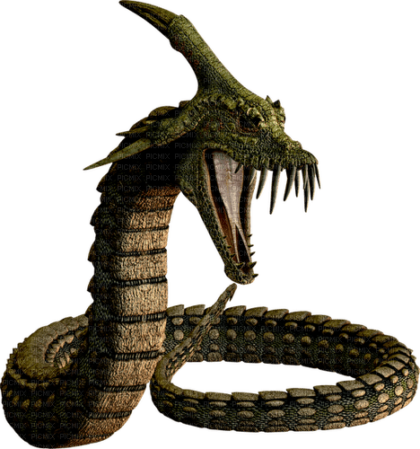 Dragon.snake.Chinois.chinese.Victoriabea - PNG gratuit