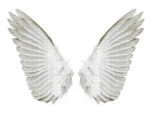 wings---vingar - PNG gratuit