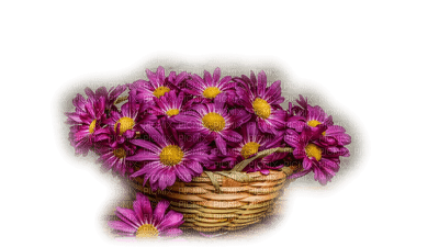 patymirabelle fleurs - фрее пнг