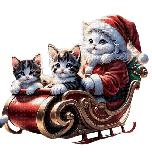 chats hiver - ilmainen png