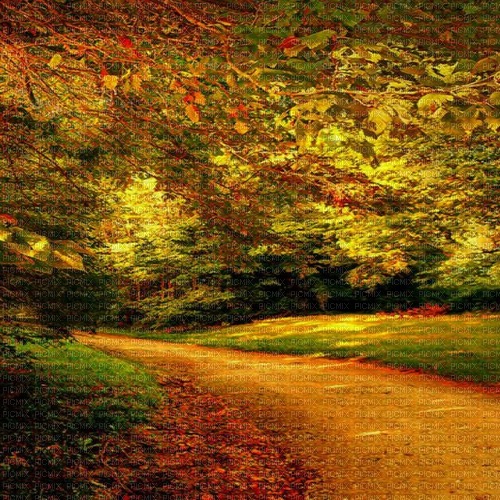 autumn  background by nataliplus - nemokama png
