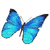 pillangó - GIF animasi gratis