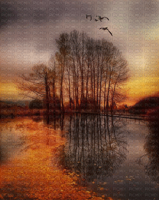 Paysage.Landscape.Lake.Automne.Victoriabea - Gratis geanimeerde GIF