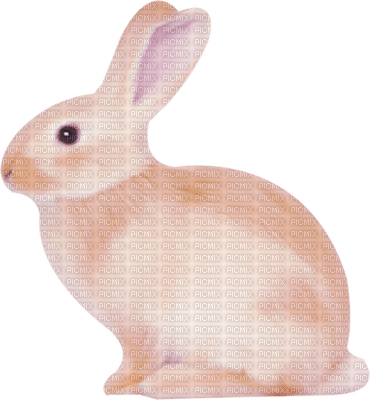 Kaz_Creations Animals Rabbit Hare - ücretsiz png