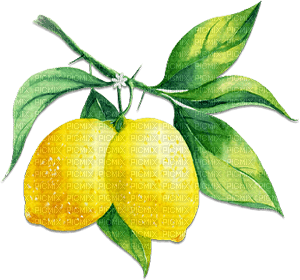 soave deco summer fruit lemon branch yellow green - besplatni png