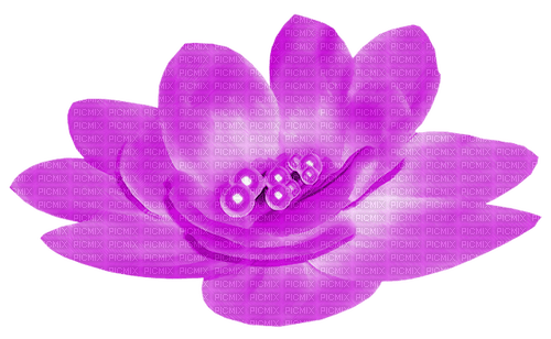 Flower.Pearls.Purple - Free PNG