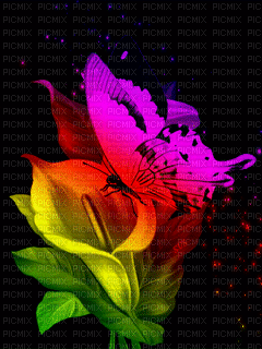 Flowers bp - Besplatni animirani GIF
