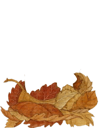 animated squirrel leaves autumn - Δωρεάν κινούμενο GIF
