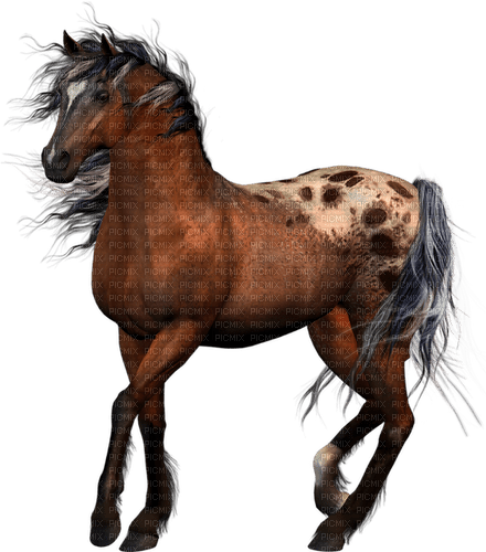 Horse, Adam64 - nemokama png