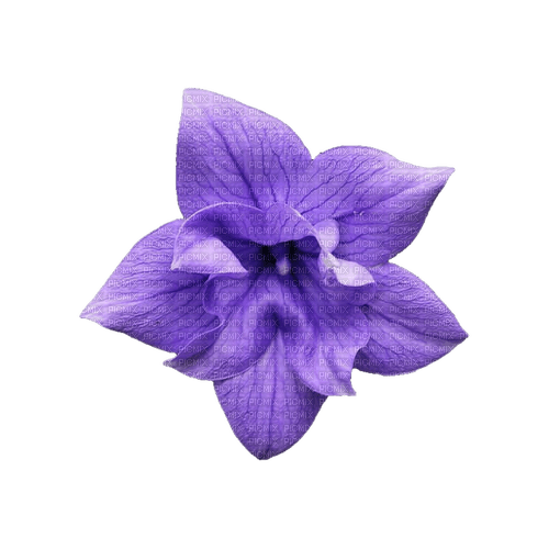 kikkapink deco scrap purple flower - darmowe png