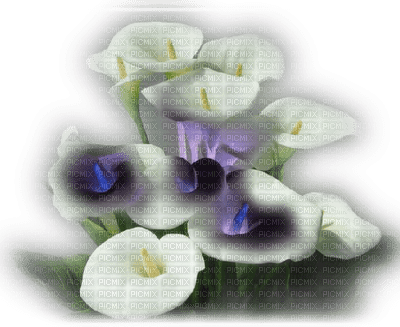 Kaz_Creations Deco Flowers Flower  Colours - nemokama png