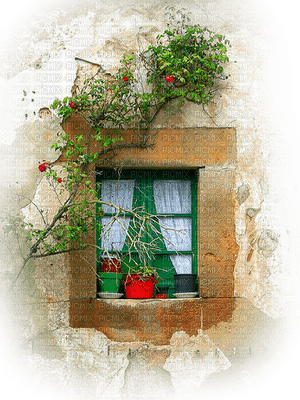 floral window - zdarma png