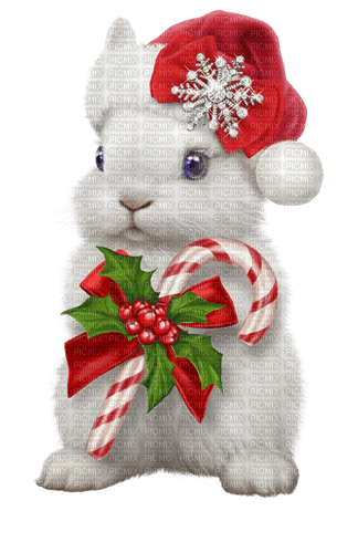 Animal de Noël. - δωρεάν png