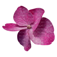 flower pink by nataliplus - ingyenes png