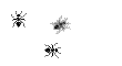 korolek1976 - Bezmaksas animēts GIF