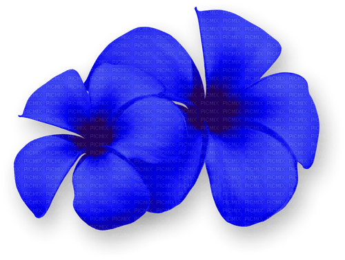 Flowers.Summer.Tropical.Blue - PNG gratuit