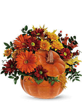 Kaz_Creations  Flowers Vase Plant Halloween Deco - фрее пнг