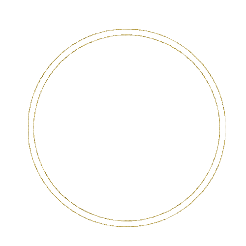 Frame Frames Circle Gold Gif JitterBugGirl - Бесплатный анимированный гифка