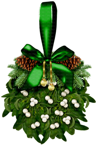 Mistletoe.Brown.White.Green - Free PNG