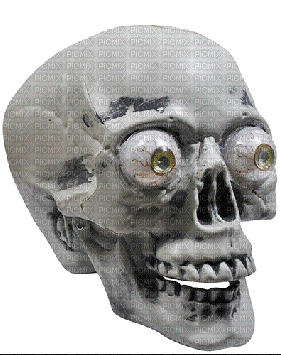 hal squelette - Darmowy animowany GIF
