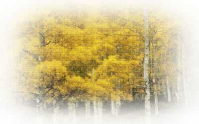 paysage automne.Cheyenne63 - darmowe png
