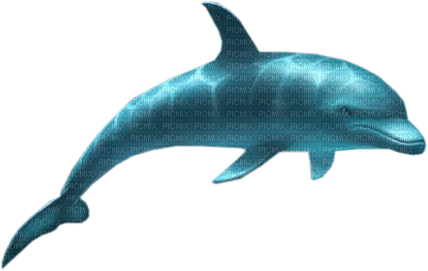 Dolphin.Blue - Free PNG