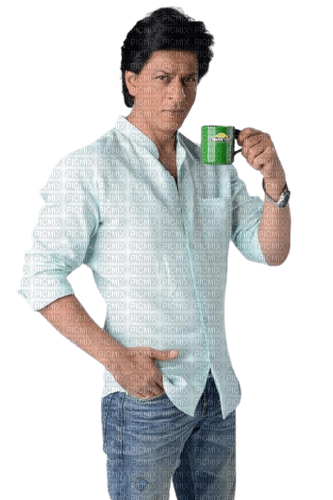 gala Shahrukh Khan - ingyenes png