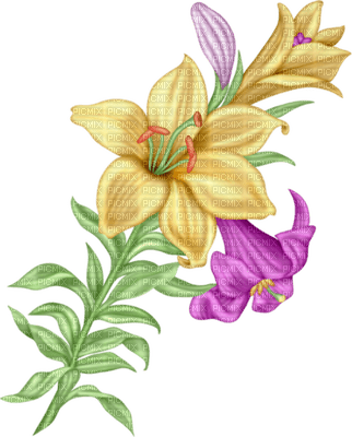 fleur jaune.Cheyenne63 - kostenlos png