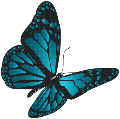 All  my butterflys - δωρεάν png