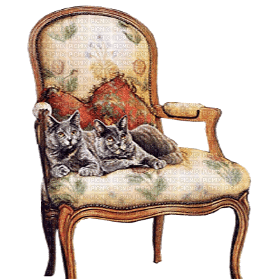 gatitos  en silla  gif  dubravka4 - Gratis animeret GIF