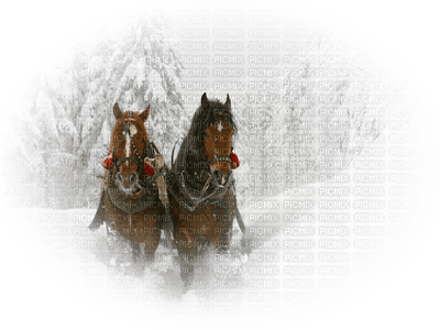 vinter-hästar-minou52 - kostenlos png